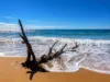 14/2 Beaches Village Circuit, Agnes Water, Qld 4677-Image