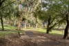 14/24 Westralia Gardens, Rockingham, WA 6168-Image