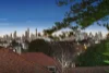 14/3 Struan Street, Toorak, Vic 3142-Image