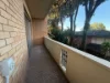 14/58 Ocean Street, Penshurst NSW 2222-Image