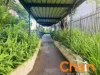 14/64-66 Great Western Highway, Parramatta, NSW 2150-Image