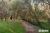 14/70 Kiekebusch Road, Gulfview Heights, SA 5096-Image