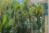 147/10-16 Alexandra Avenue, Mermaid Beach, Qld 4218-Image