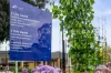15/10-12 Ray Street, Croydon, Vic 3136-Image