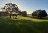 15/105 Old Coast Road, Pelican Point, WA 6230-Image