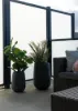 15/224 Flemington Road, Harrison, ACT 2914-Image