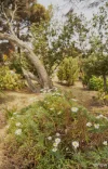 15/380 Nepean Highway, Frankston, Vic 3199-Image