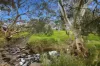 15/7 Jean Street, Pooraka, SA 5095-Image