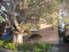 16/105 Pacific Parade, Dee Why, NSW 2099-Image
