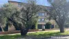 16/20-24 Harbourne Road, Kingsford, NSW 2032-Image