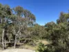 16/202 Goolabri Drive, Sutton, NSW 2620-Image