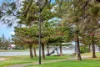 16/50 Adelphi Crescent, Glenelg North, SA 5045-Image