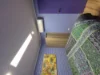 160-164 Olive Avenue, Mildura, Vic 3500-Image