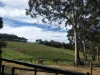 168 Darby Road, Echunga, SA 5153-Image