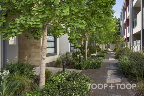17/3 Alexander Lane, Marden, SA 5070