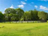 17/33 Cootamundra Drive, Mountain Creek, Qld 4557-Image