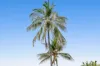 17/43-45 Sims Esplanade, Yorkeys Knob, Qld 4878-Image