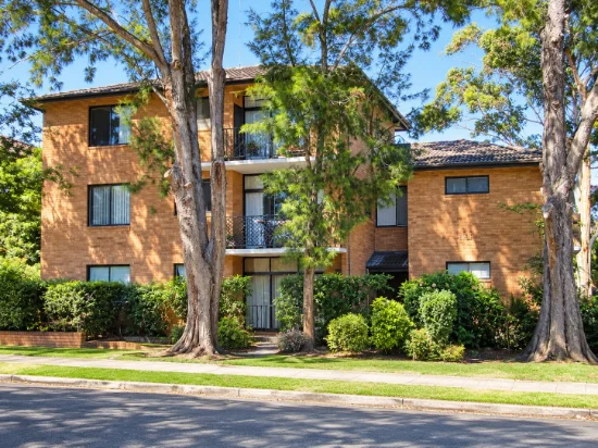 17 WOIDS Avenue, Hurstville NSW 2220-Image