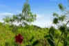 1731/2-10 Greenslopes Street, Cairns North, Qld 4870-Image