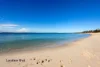 18/147 The Grand Parade, Monterey, NSW 2217-Image