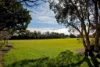 18/147 The Grand Parade, Monterey, NSW 2217-Image