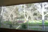 18/199 Waterloo Road, Marsfield, NSW 2122-Image