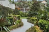 18/2A Forsyth Street, Glebe, NSW 2037-Image