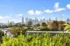 19/469 Parramatta Road, Leichhardt, NSW 2040-Image