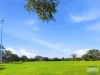 19 Alonso St, Coolbellup, WA 6163-Image