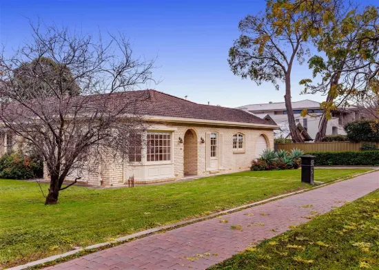 19 Sturt Avenue, Toorak Gardens, SA 5065