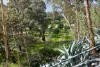 1N/9 Parker Street, South Perth, WA 6151-Image
