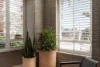 2/10 Wylde Street, Potts Point, NSW 2011-Image