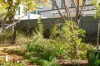 2/12 Condamine Street, Turner, ACT 2612-Image