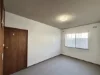 2/12 High Street, Waratah, NSW 2298-Image