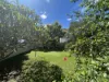 2/121 Cambridge Street, South Grafton, NSW 2460-Image