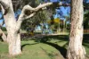 2/16 Graffunder Street, South Mackay, Qld 4740-Image
