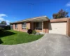 2/19 Corang Avenue, Grovedale, Vic 3216