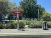 2/2-4 Robert Street, Telopea, NSW 2117-Image