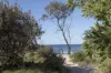 2/22 Cooper Street, Byron Bay, NSW 2481-Image