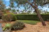 2/220 Wonga Road, Warranwood, Vic 3134-Image
