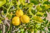 2/25 Bay Road, Midway Point, Tas 7171-Image