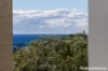2/25 Noble Street, Gerringong, NSW 2534-Image