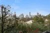 2/268 Johnston Street, Annandale, NSW 2038-Image