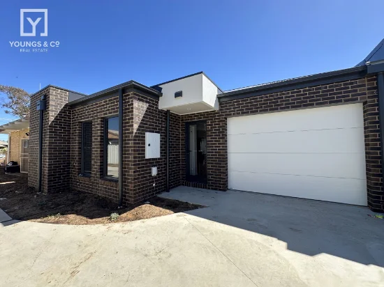 2 & 3/145 Swallow Street, Shepparton, Vic 3630
