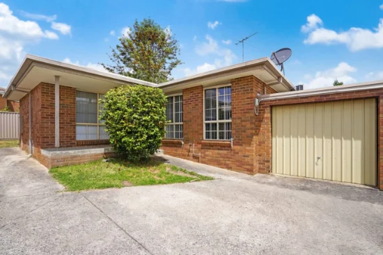 2/3 Flockhart St, Mount Pleasant, Vic 3350