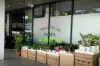 2/35 St Thomas Street, Bronte, NSW 2024-Image