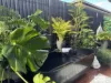 2/37 Hurse Street, Chinchilla, Qld 4413-Image