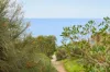 2/4 South Avenue, Hallett Cove, SA 5158-Image