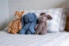 2/43 Central Avenue, Tyabb, Vic 3913-Image