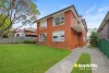 2/49 Palace Street, Ashfield NSW 2131-Image
